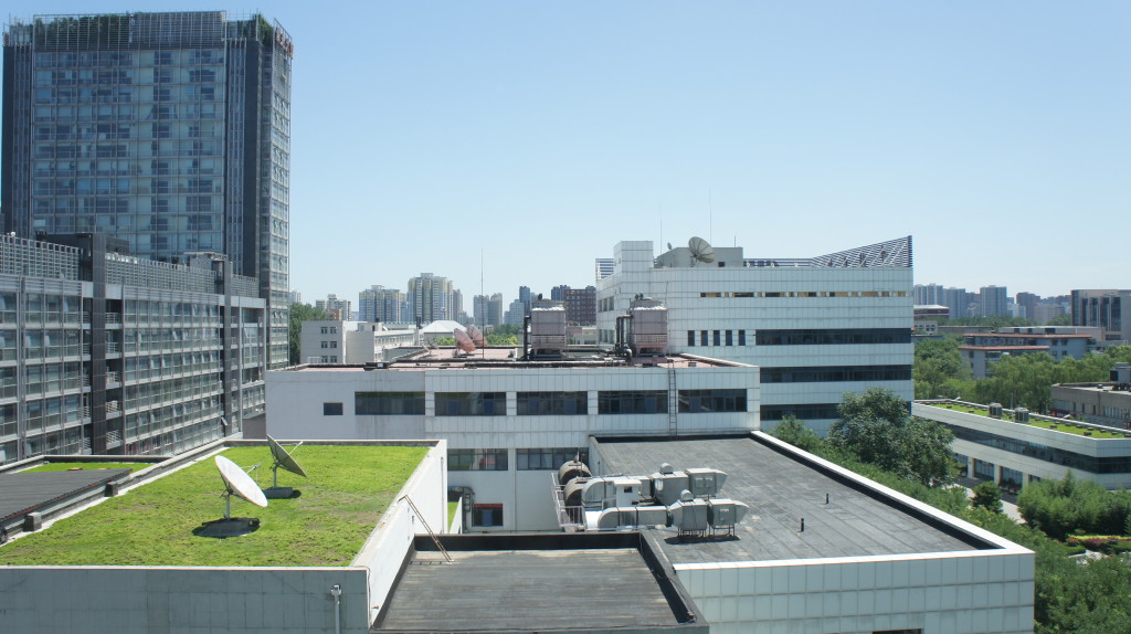 SONY DSC